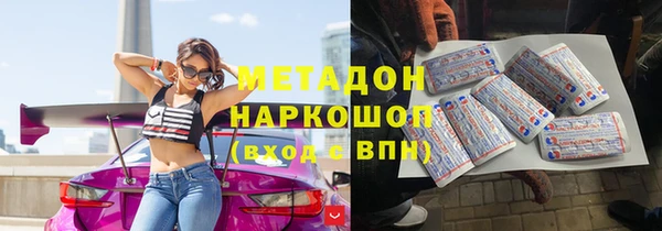 гашик Алексин