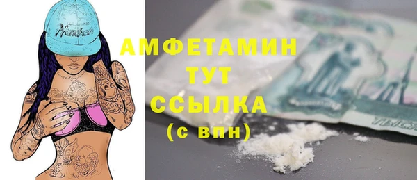 гашик Алексин