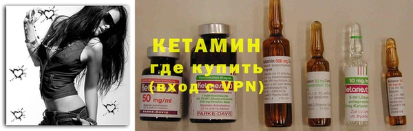 гашик Алексин