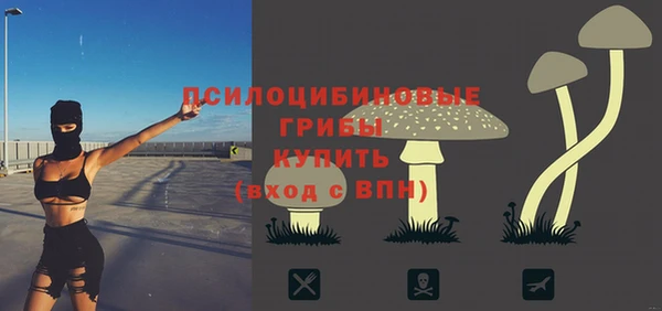 гашик Алексин