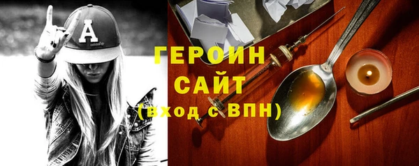 гашик Алексин