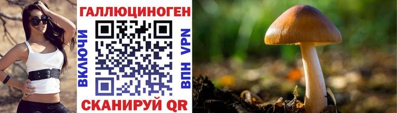 Галлюциногенные грибы MAGIC MUSHROOMS  Багратионовск 