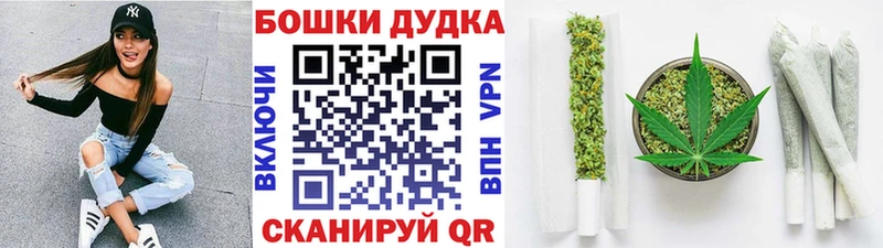 Каннабис планчик Багратионовск